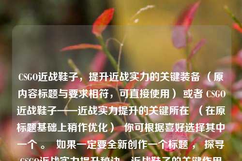 CSGO近战鞋子，提升近战实力的关键装备 （原内容标题与要求相符，可直接使用） 或者 CSGO近战鞋子——近战实力提升的关键所在  （在原标题基础上稍作优化）  你可根据喜好选择其中一个 。  如果一定要全新创作一个标题 ， 探寻CSGO近战实力提升秘诀，近战鞋子的关键作用