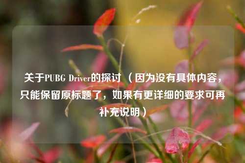 关于PUBG Driver的探讨 （因为没有具体内容，只能保留原标题了，如果有更详细的要求可再补充说明）