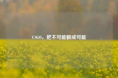 CSGO，把不可能翻成可能