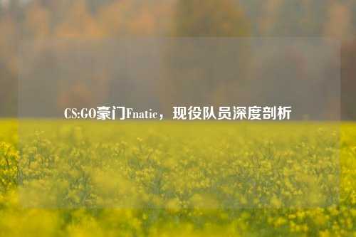 CS:GO豪门Fnatic，现役队员深度剖析