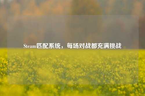 Steam匹配系统，每场对战都充满挑战