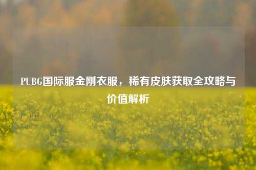 PUBG国际服金刚衣服，稀有皮肤获取全攻略与价值解析