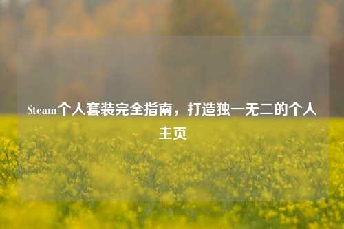 Steam个人套装完全指南，打造独一无二的个人主页