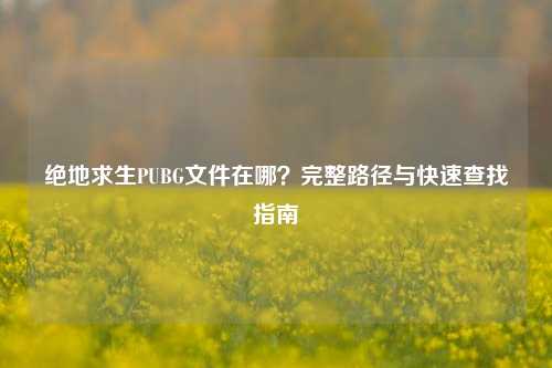 绝地求生PUBG文件在哪？完整路径与快速查找指南