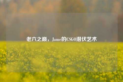 老六之巅，Jame的CSGO潜伏艺术