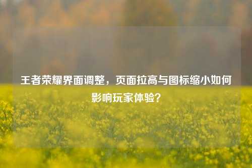 王者荣耀界面调整，页面拉高与图标缩小如何影响玩家体验？