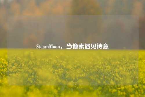 SteamMoon，当像素遇见诗意