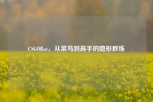 CSGOBot，从菜鸟到高手的隐形教练