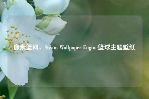 像素篮网，Steam Wallpaper Engine篮球主题壁纸