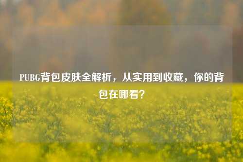 PUBG背包皮肤全解析，从实用到收藏，你的背包在哪看？