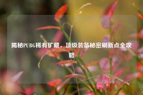 揭秘PUBG稀有矿藏，顶级装备秘密刷新点全攻略