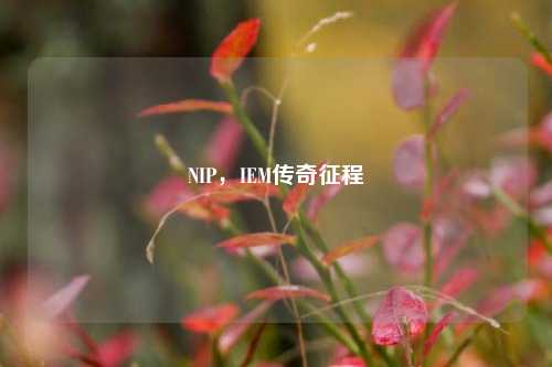 NIP，IEM传奇征程