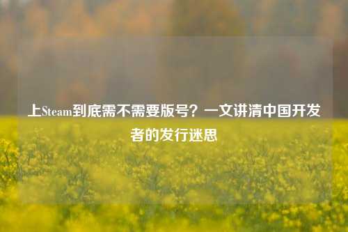 上Steam到底需不需要版号？一文讲清中国开发者的发行迷思