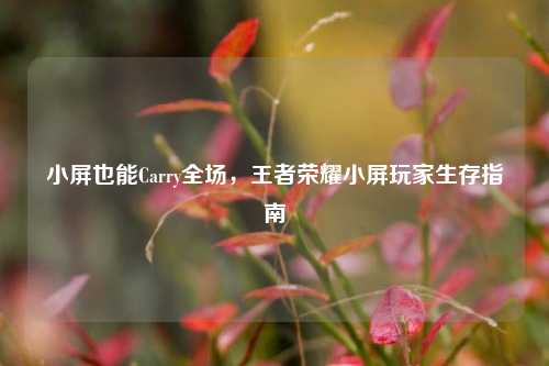 小屏也能Carry全场，王者荣耀小屏玩家生存指南