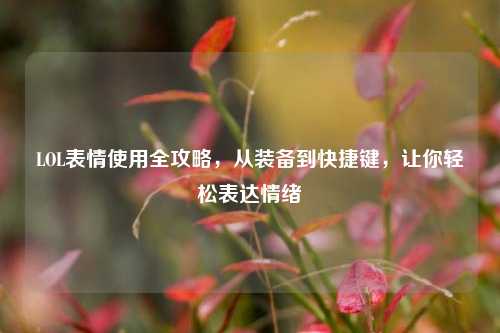 LOL表情使用全攻略，从装备到快捷键，让你轻松表达情绪