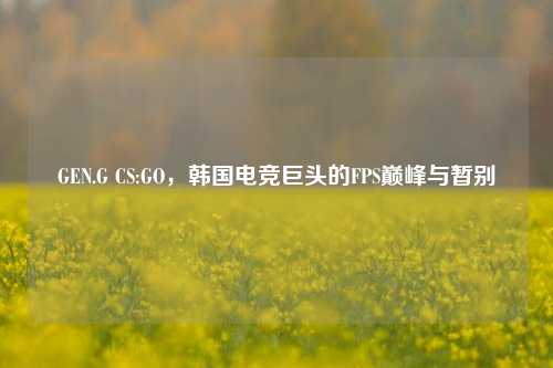 GEN.G CS:GO,韩国电竞巨头的FPS巅峰与暂别