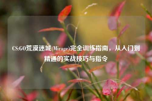 CS:GO荒漠迷城(Mirage)完全训练指南，从入门到精通的实战技巧与指令