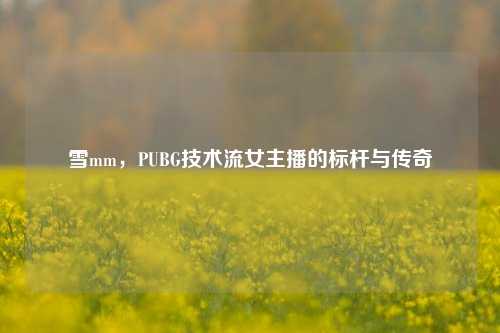 雪mm，PUBG技术流女主播的标杆与传奇