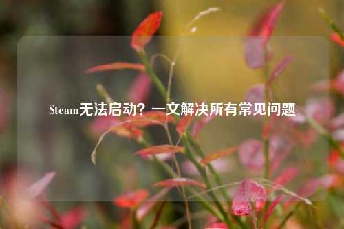Steam无法启动？一文解决所有常见问题