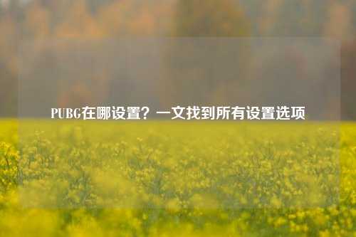 PUBG在哪设置？一文找到所有设置选项