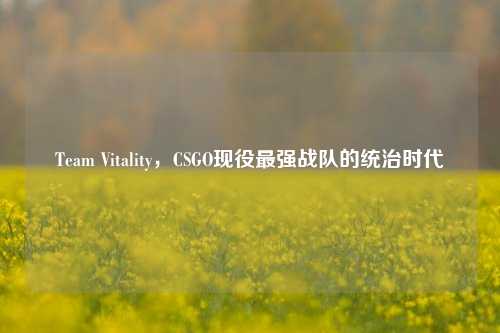 Team Vitality，CSGO现役最强战队的统治时代