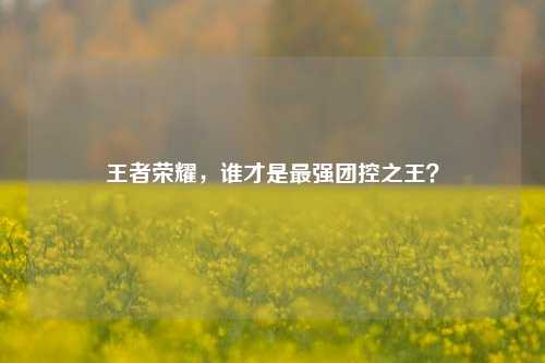 王者荣耀，谁才是最强团控之王？