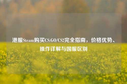 港服Steam购买CS:GO/CS2完全指南，价格优势、操作详解与国服区别