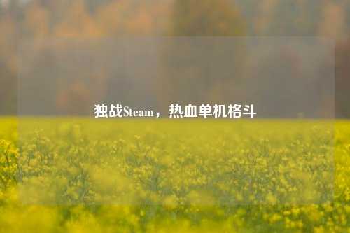 独战Steam，热血单机格斗