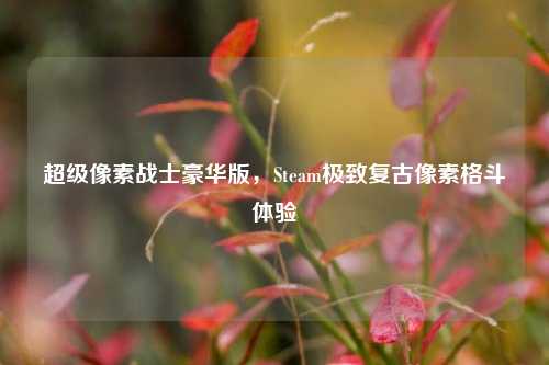 超级像素战士豪华版，Steam极致复古像素格斗体验