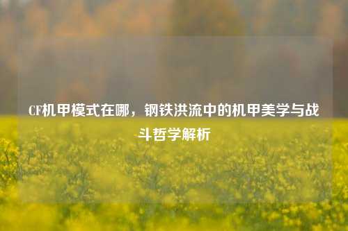 CF机甲模式在哪，钢铁洪流中的机甲美学与战斗哲学解析