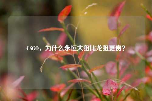 CSGO，为什么永恒大狙比龙狙更贵？