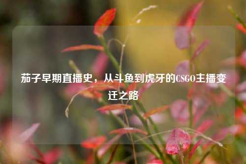 茄子早期直播史，从斗鱼到虎牙的CSGO主播变迁之路