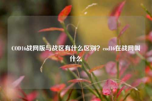 COD16战网版与战区有什么区别?cod16在战网叫什么