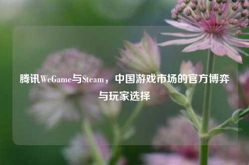 腾讯WeGame与Steam，中国游戏市场的官方博弈与玩家选择