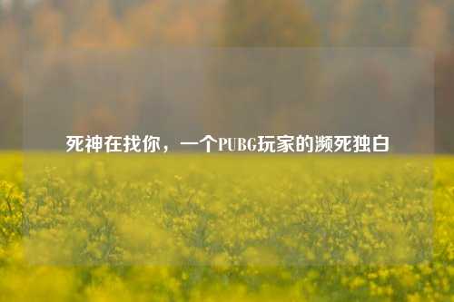 死神在找你，一个PUBG玩家的濒死独白