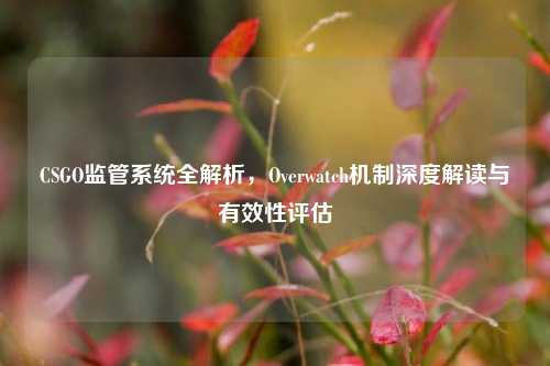 CSGO监管系统全解析，Overwatch机制深度解读与有效性评估