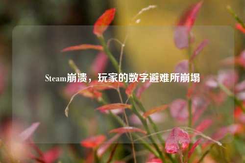 Steam崩溃，玩家的数字避难所崩塌