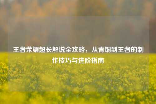 王者荣耀超长解说全攻略,从青铜到王者的 技巧与进阶指南