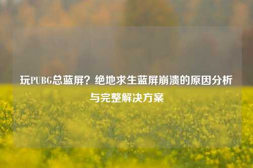 玩PUBG总蓝屏？绝地求生蓝屏崩溃的原因分析与完整解决方案