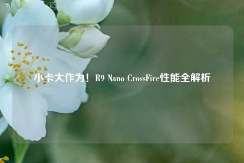 小卡大作为！R9 Nano CrossFire性能全解析