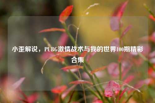 小歪解说，PUBG     战术与我的世界100期精彩合集