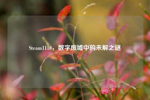 Steam1110，数字废墟中的未解之谜