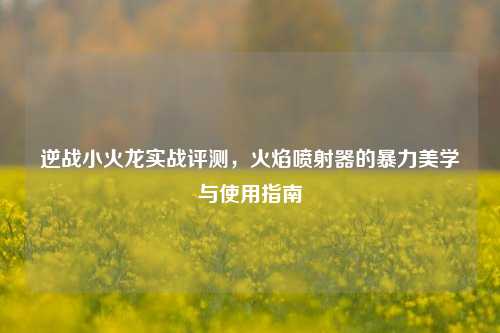 逆战小火龙实战评测，火焰喷射器的暴力美学与使用指南