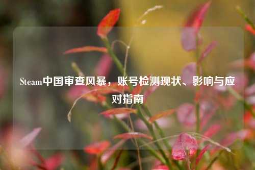 Steam中国审查风暴，账号检测现状、影响与应对指南