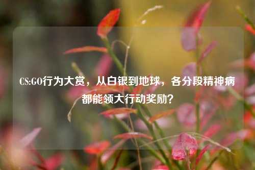 CS:GO行为大赏，从白银到地球，各分段精神病都能领大行动奖励？