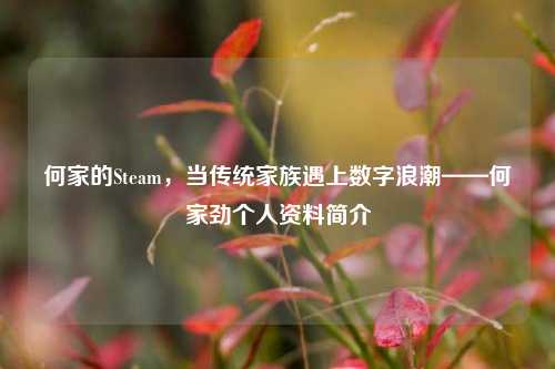 何家的Steam，当传统家族遇上数字浪潮——何家劲个人资料简介