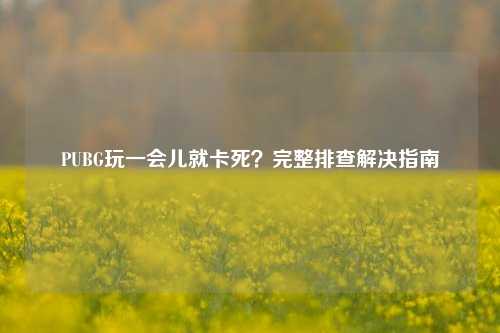 PUBG玩一会儿就卡死？完整排查解决指南