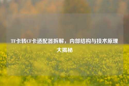 TF卡转CF卡适配器拆解，内部结构与技术原理大揭秘