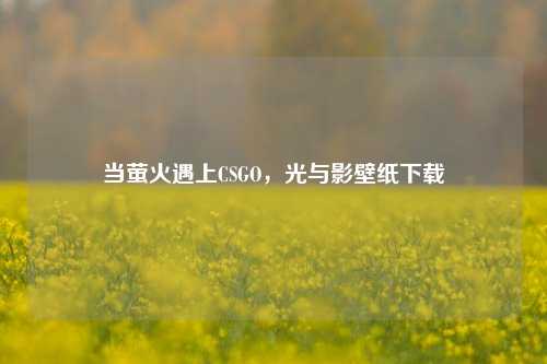 当萤火遇上CSGO，光与影壁纸下载