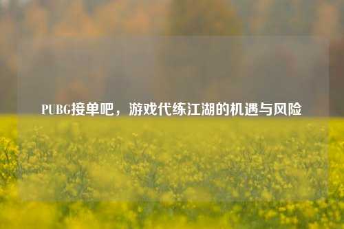 PUBG接单吧，游戏代练江湖的机遇与风险